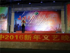 文明长在•凤凰花开 